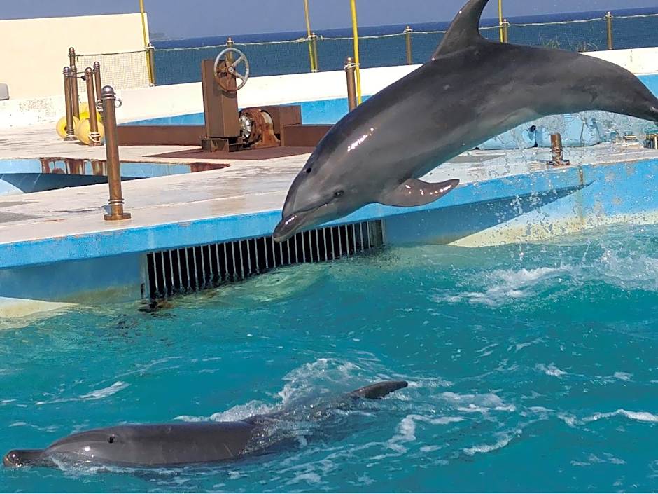 Karry CONDO CHURAUMI