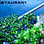 Soho Brisbane Hotel