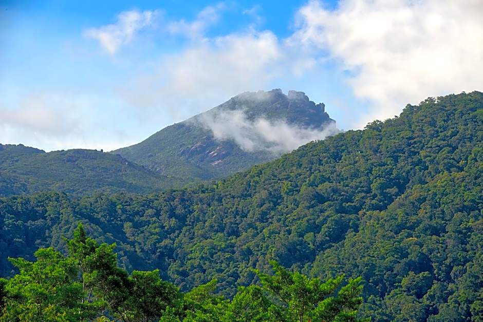 Daintree Peaks ECO Stays