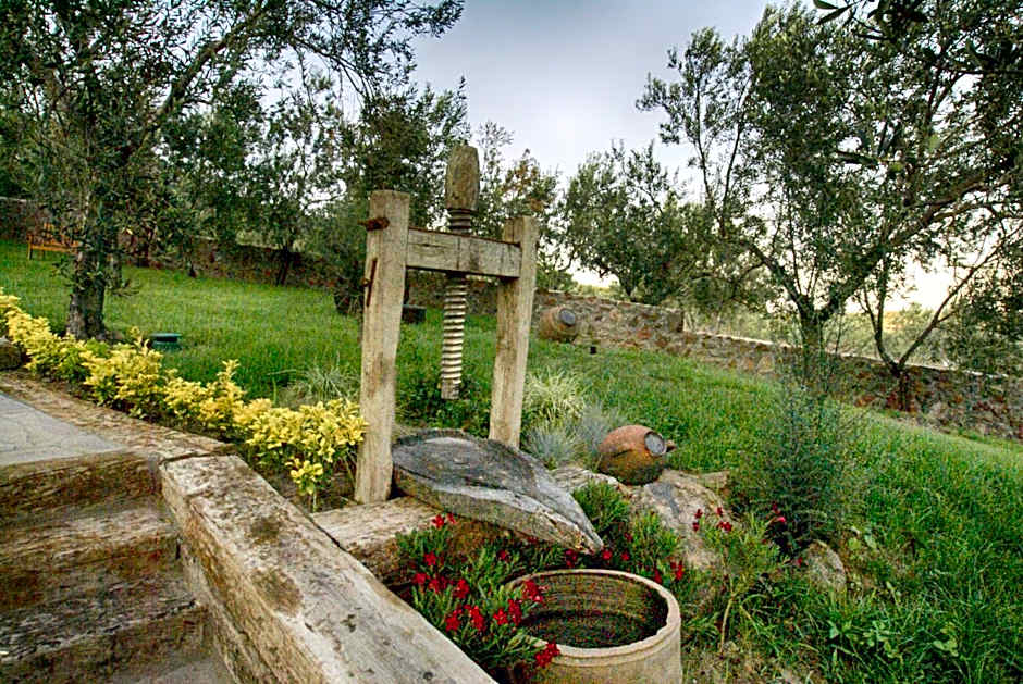 Assos Dionysos Special Class Hotel Adults Only 12 years