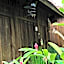 Tembi - Historical Home
