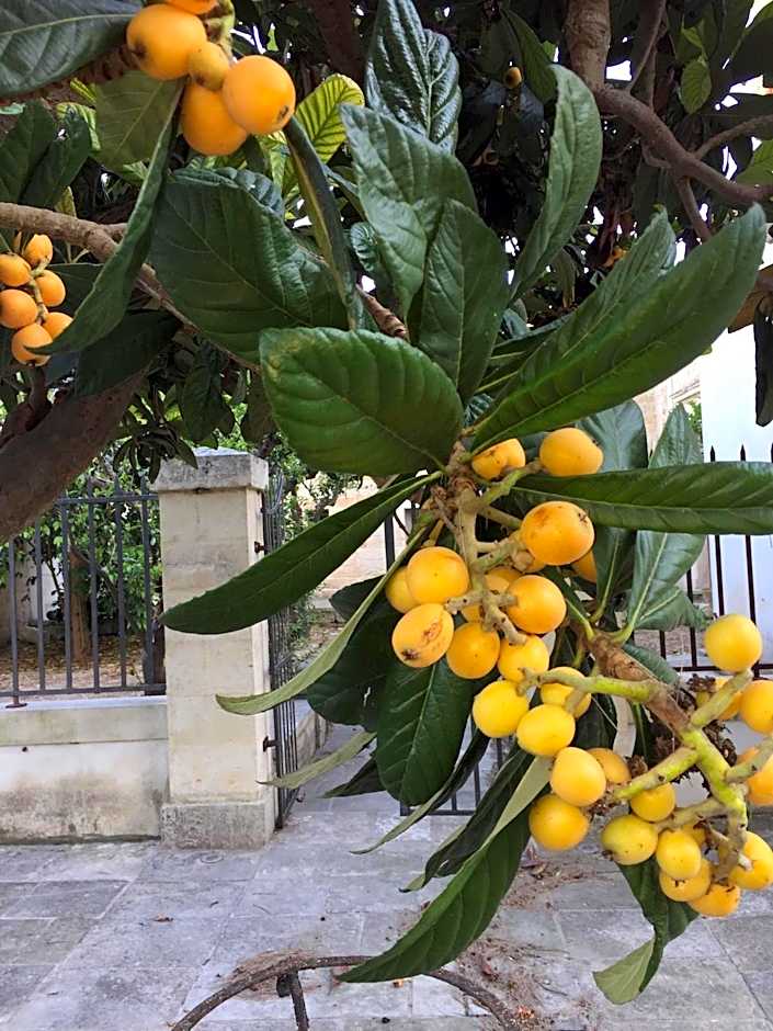 Palazzo de Carlo e il parco dei 7 pozzi