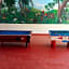 Hotel Las Jacarandas