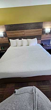 1 King Bed, Mobility Accessible Room, Bathtub w/ Grab Bars, Non-Smoking