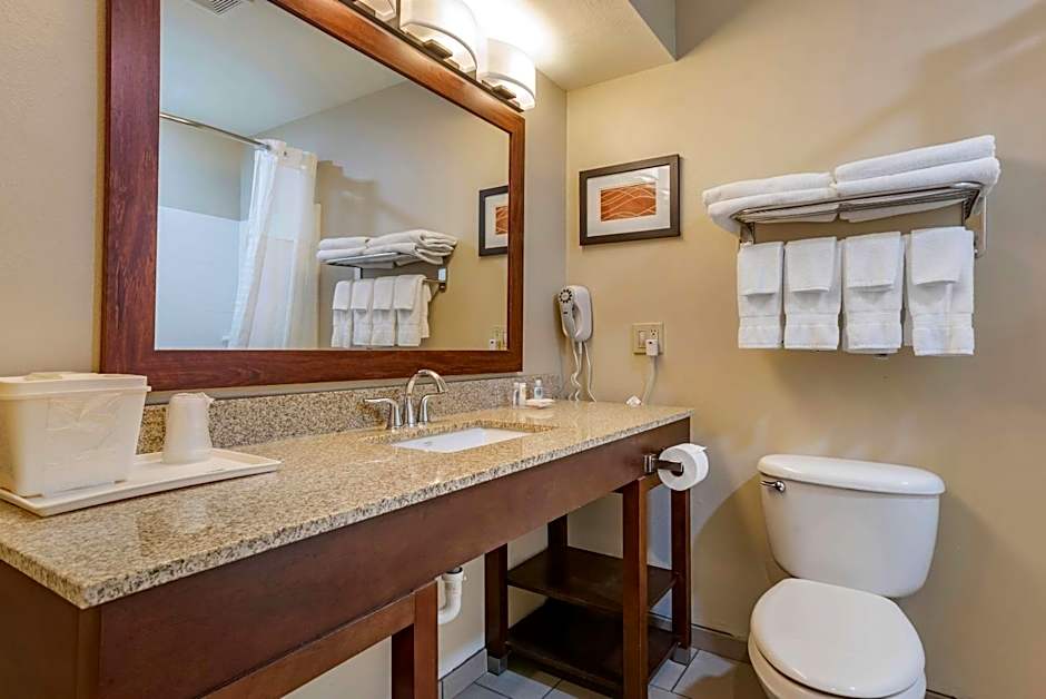 Comfort Inn Amite