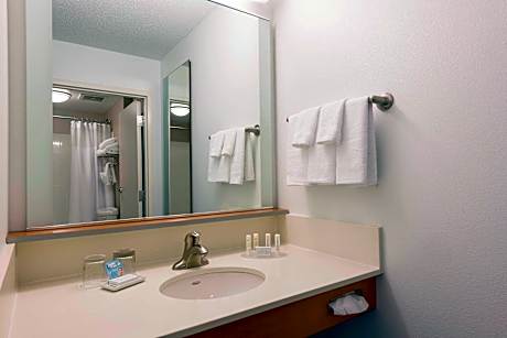Studio, Multiple Beds (2 Queen Beds and 1 Double Sofa Bed)