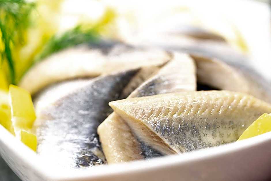 Michels Inselhotel Vier Jahreszeiten