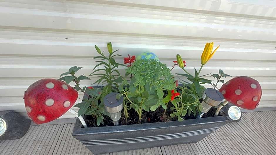 Hoburne Devon Bay Holiday Home Fresh Bright Rental - Home from home