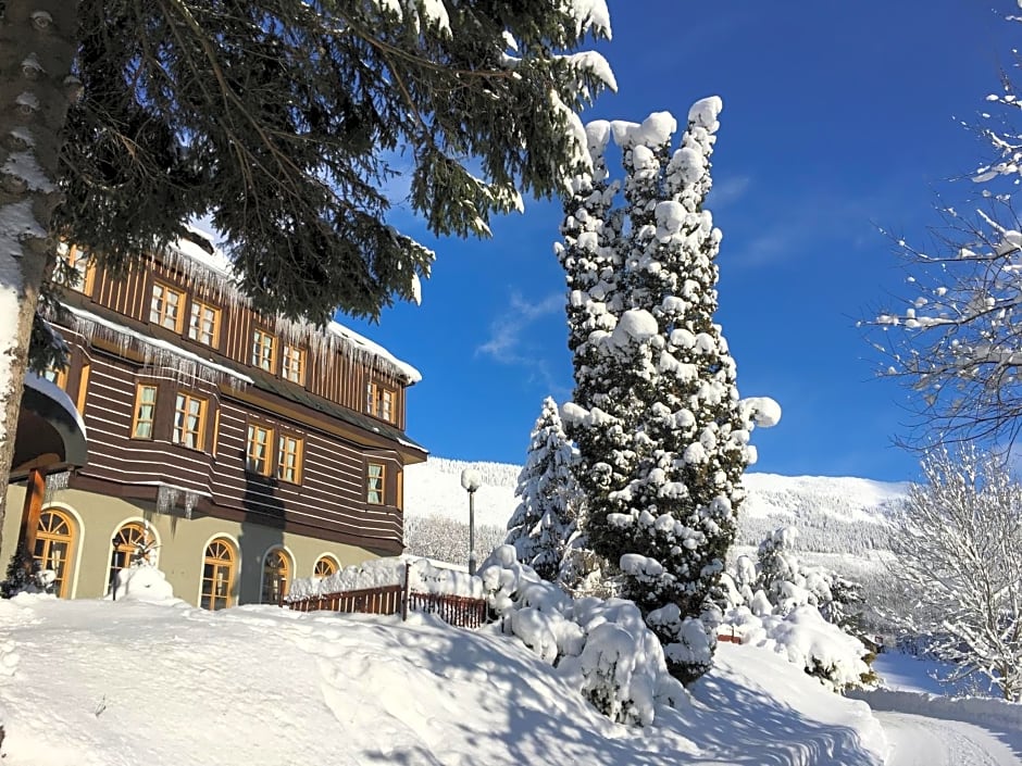 Alpský Hotel