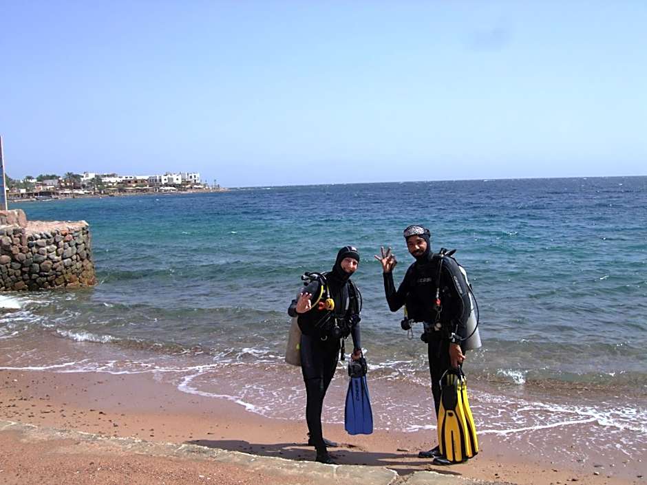 Dive Urge