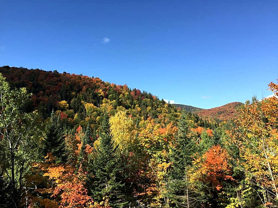 Loft Nature Laurentides
