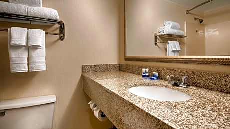 accessible - 1 king - mobility accessible, bathtub, non-smoking, full breakfast