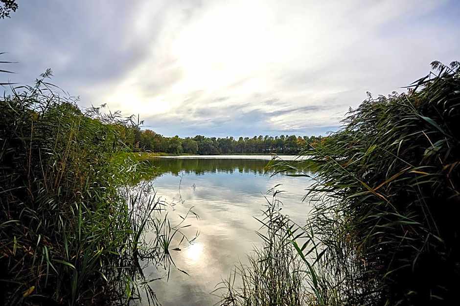 Vakantiepark Hof van Zeeland