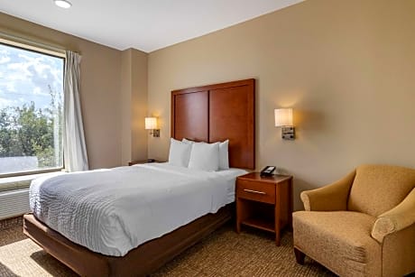 1 Queen Bed, Nonsmoking