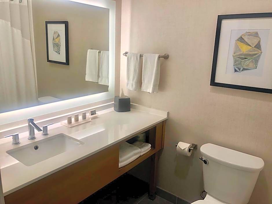 Holiday Inn & Suites Houston NW - Willowbrook By IHG
