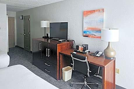 1 King Bed, 2 Double Beds, Suite, Nonsmoking