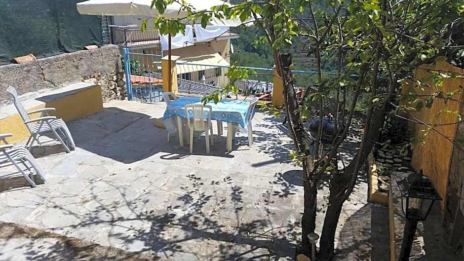 Agriturismo IL POGGIO DI VASIA CITR00864-AGR-0001