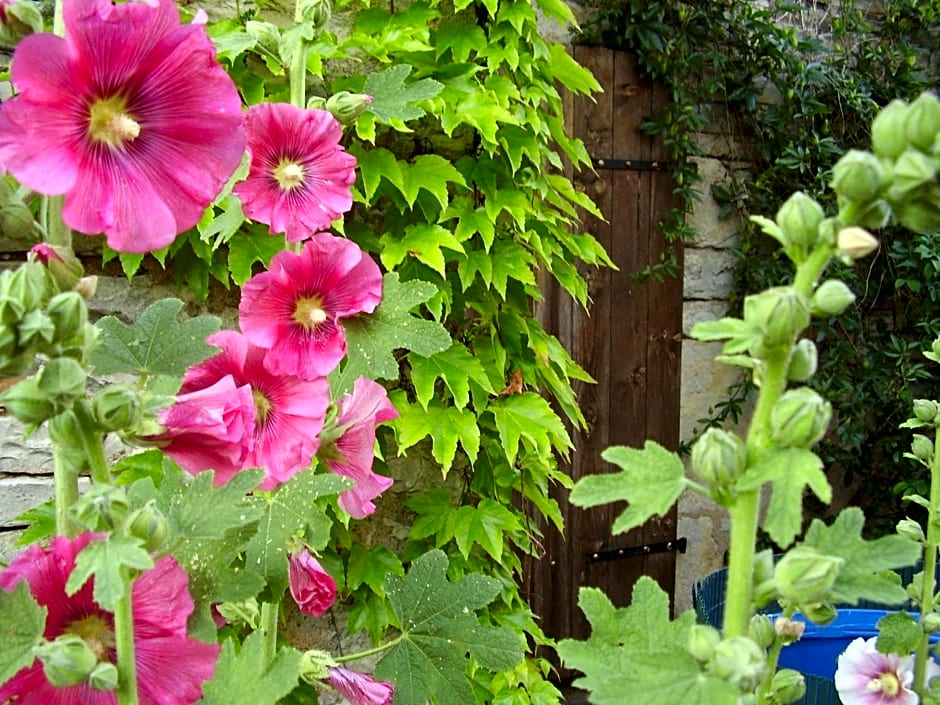 Chambres d'Hôtes de La Vallée Du Serein