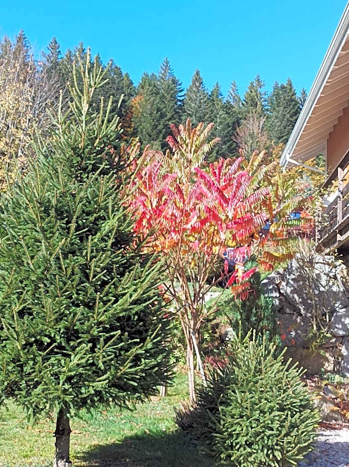 L'Eden de Floridylle