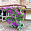 Country Gardens Motor Inn