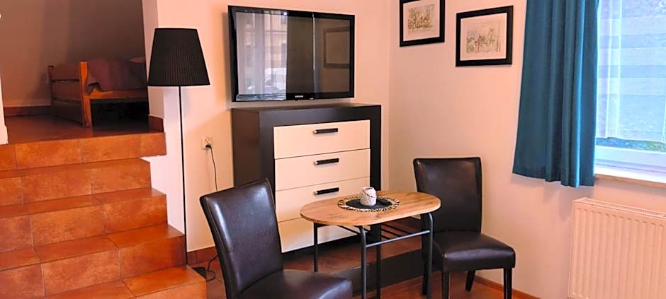 Brzoza w centrum Zakopanego