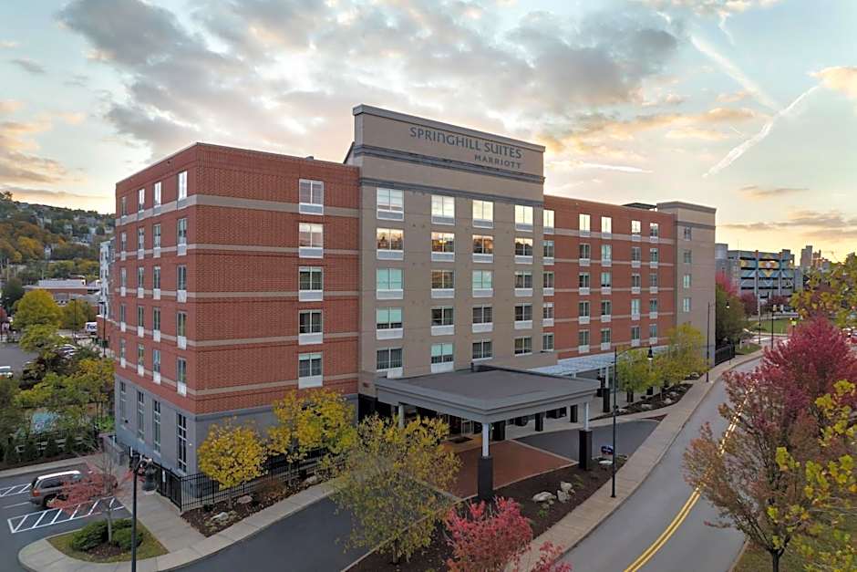 SpringHill Suites by Marriott Pittsburgh Southside Works