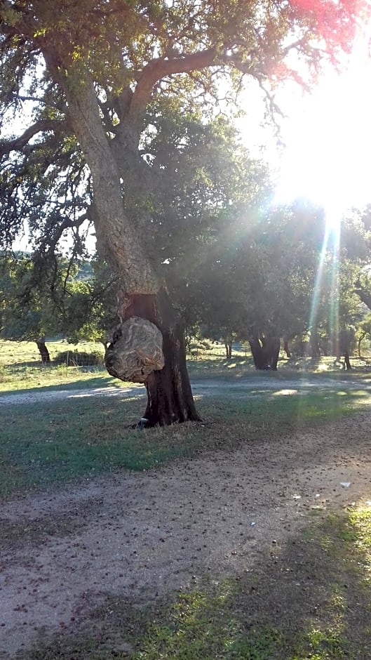 Agriturismo La tanca