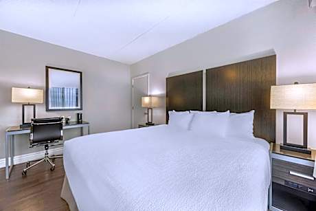 Non-Pet, 1 King Bed with Sofa Bed
