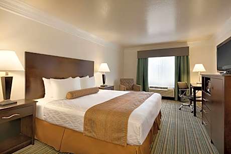 1 King Bed