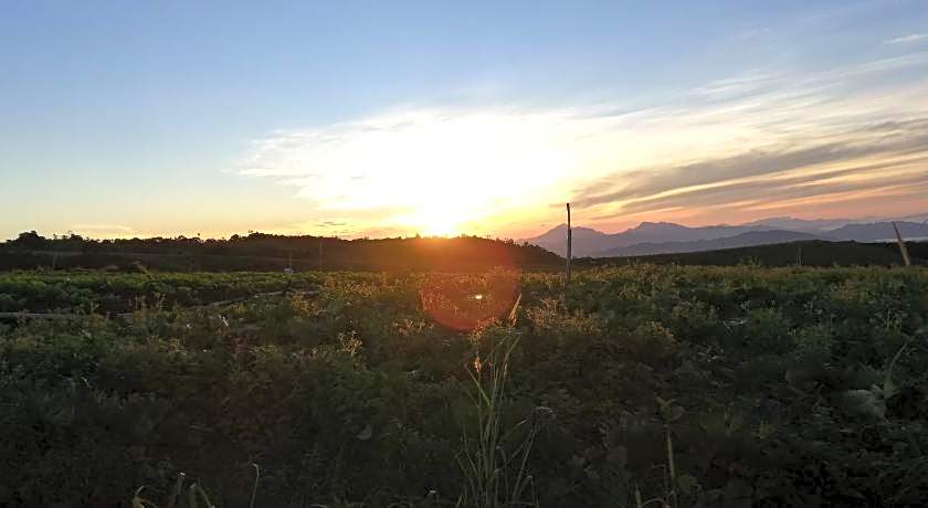 Wind Valley Farmstay