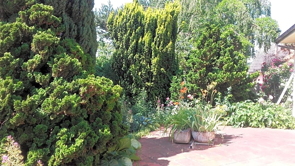 Chambres du Jardin Fleuri