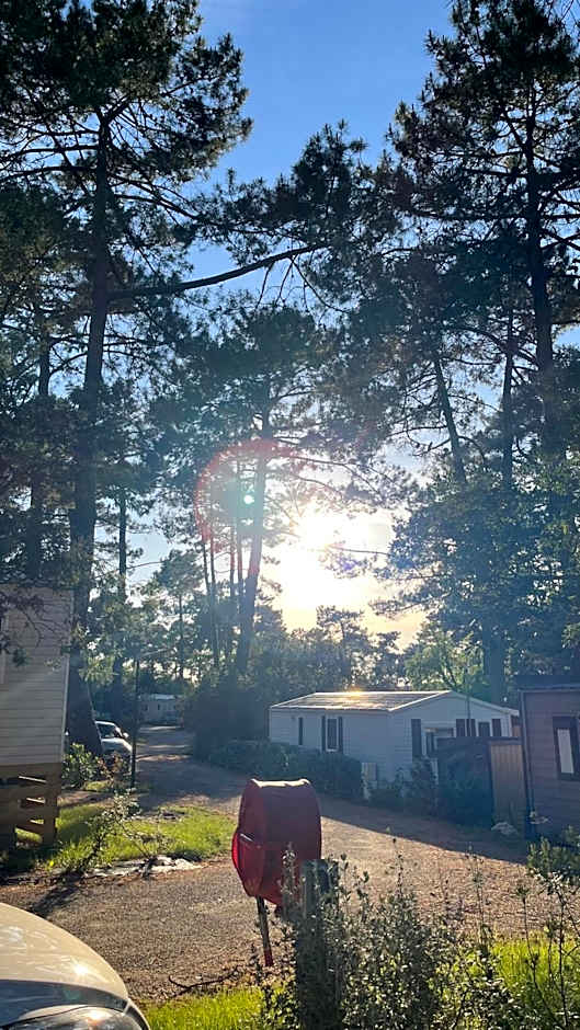 Petit Cocon au Cap Ferret Camping les Embruns