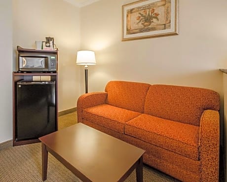 1 Queen Bed  Suite  No Smoking  Accessible Room
