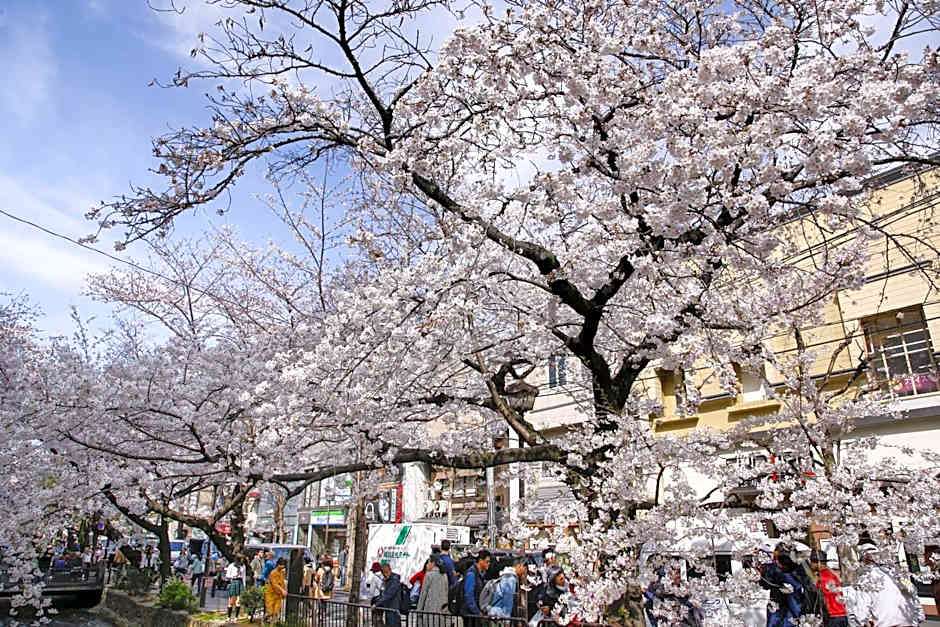 Kyomachiya Bettei Hanatei