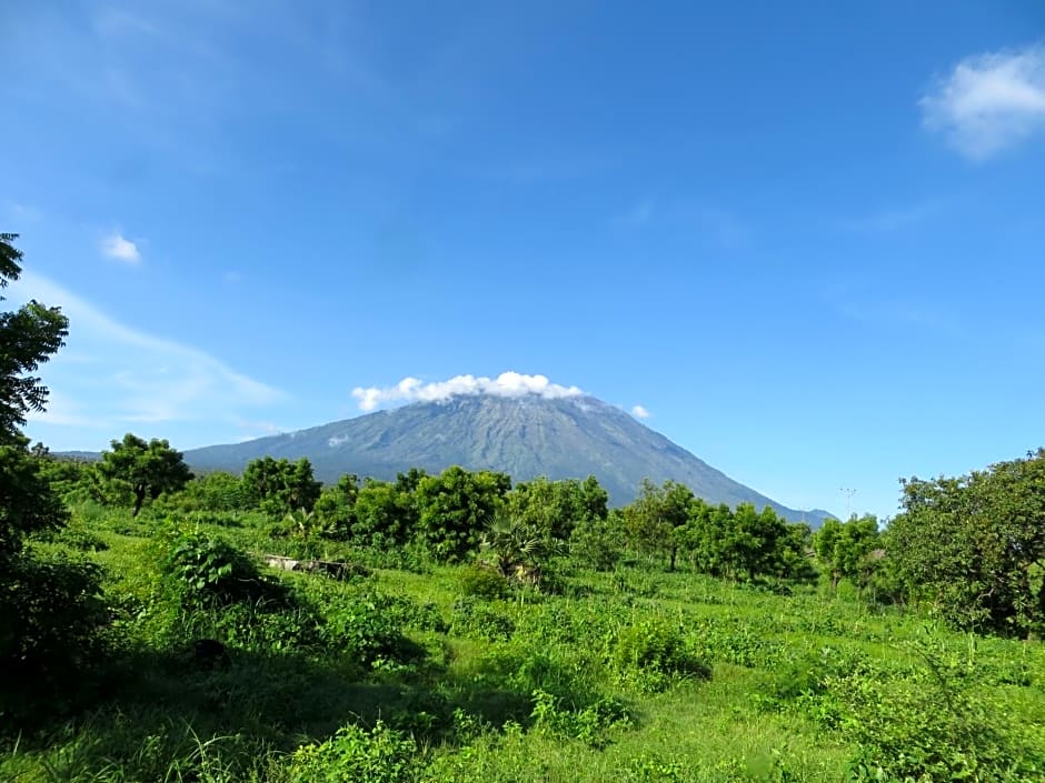 TEGAL SARI, Pemuteran- North Bali