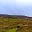 The Garsdale Bed & Breakfast - Goats and Oats at Garsdale