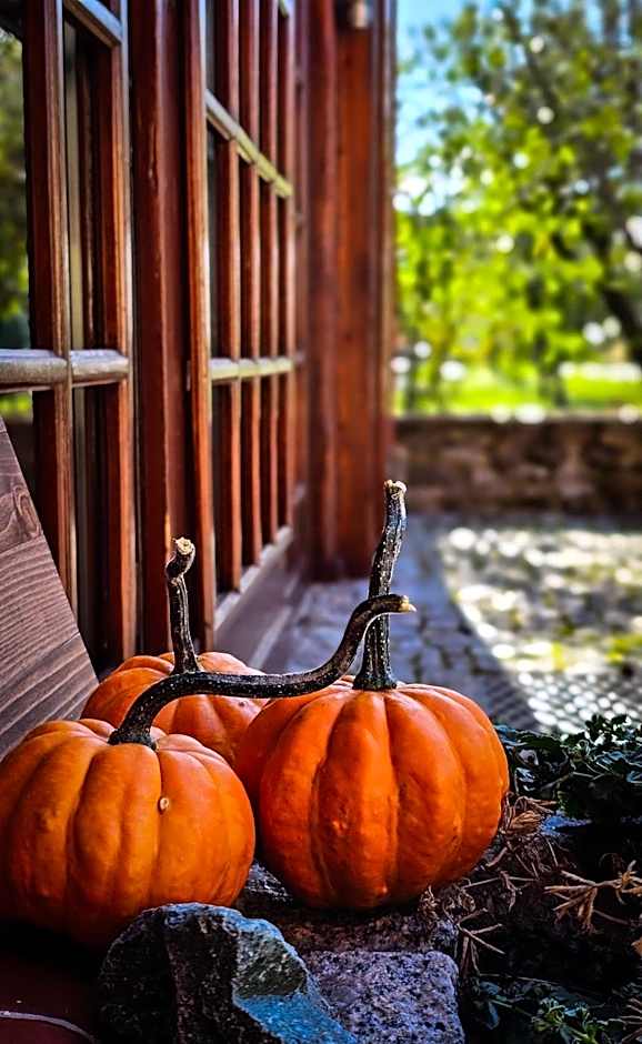 Gościniec Gryszczeniówka & SPA