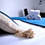 Brit Hotel Le Surcouf