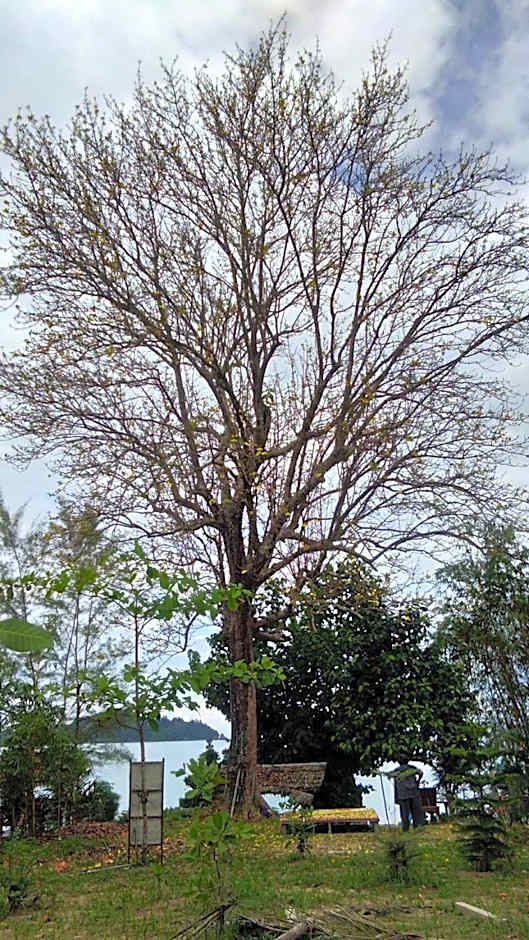 Baan Suan Kayoo 2 Buffalo Bay Aow Khao Kwai