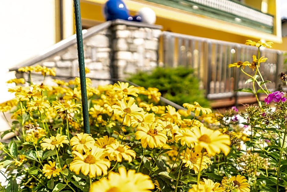 Hotel Steffl Garni inkl Chiemgau Karte