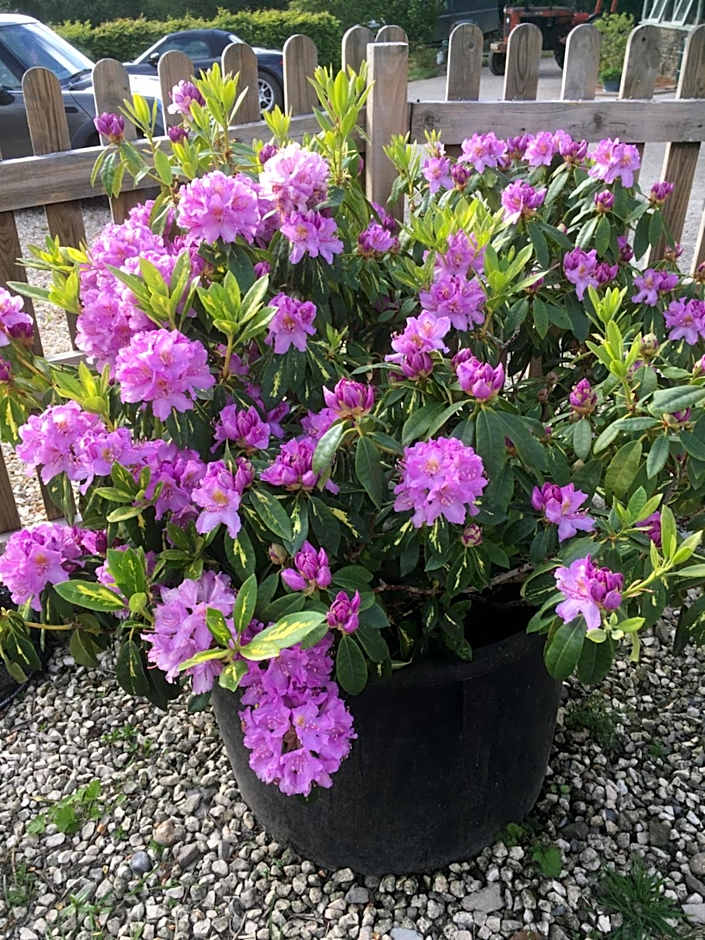 Stoke House Bed and Breakfast