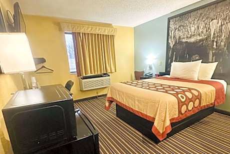 1 Queen Bed Accessible Room Non-Smoking