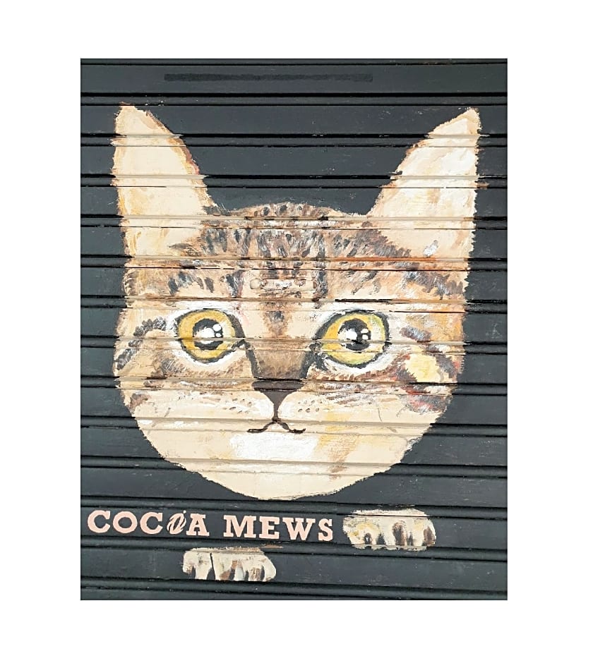 Cocoa Mews Cafe & Home