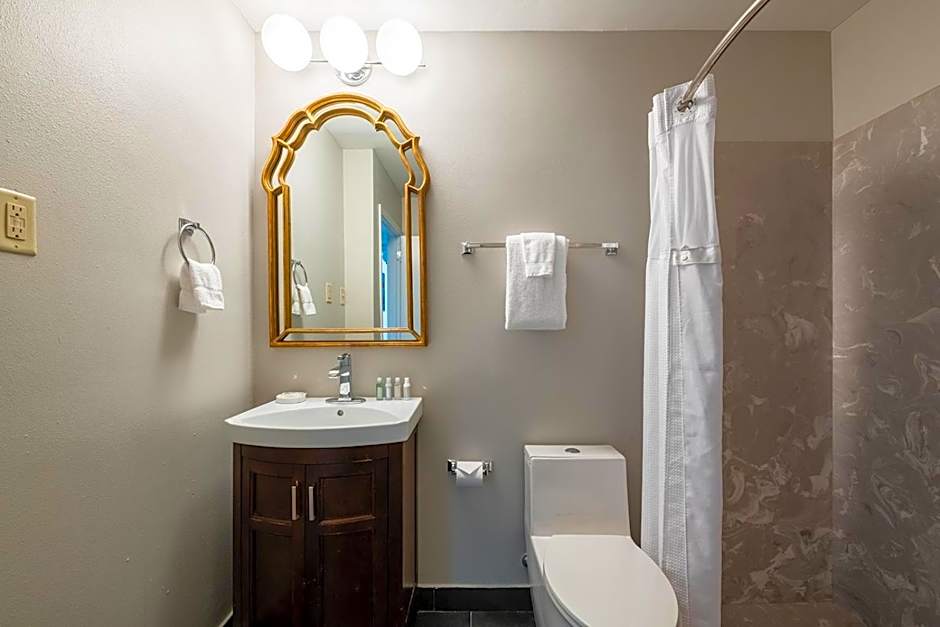 French Quarter Suites Hotel