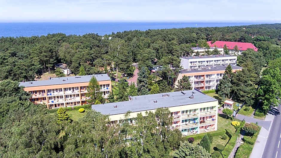 Rewita Rogowo k Kołobrzegu