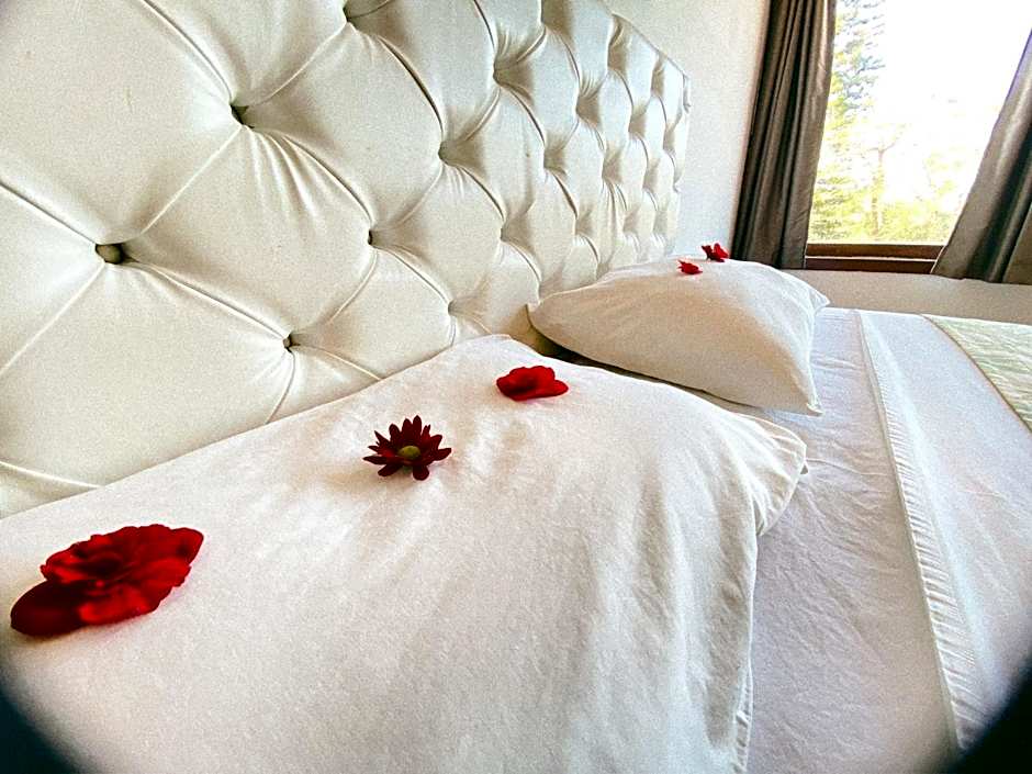 The Eco Palace Hostel