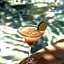 Passion Boutique Hotel Zanzibar - Adults Only