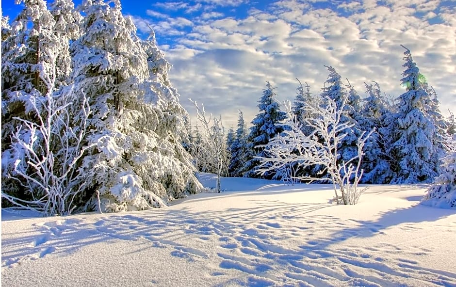 Residence Nube d'Argento