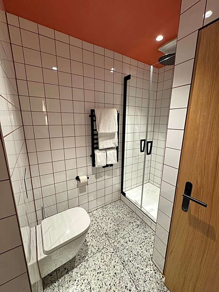 Hotel Alpina Luzern