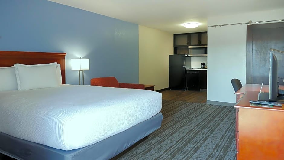 Hotel South Tampa & Suites